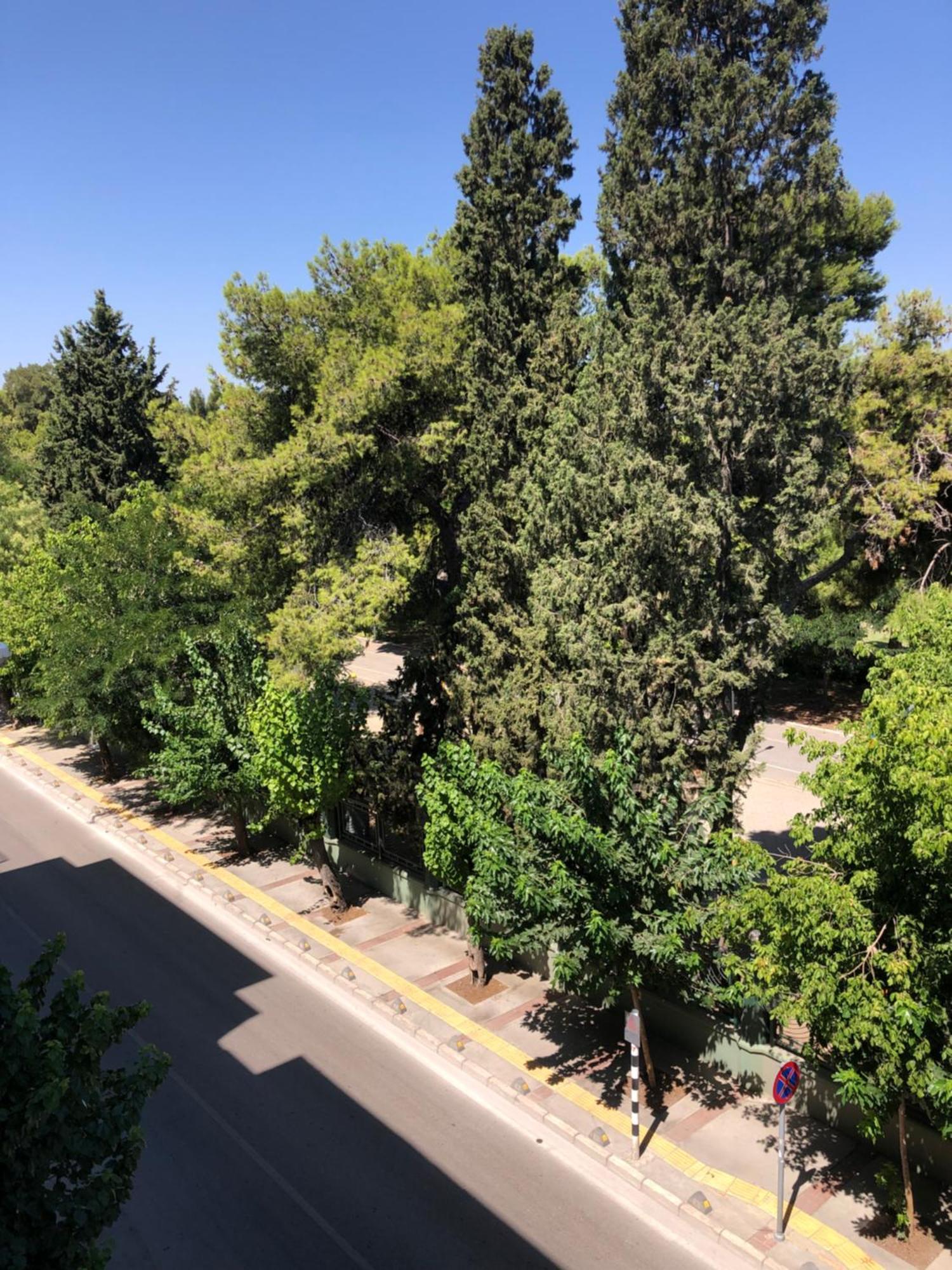 Renovated Modern House With Culture Park View * İzmir